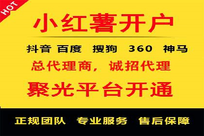 竞价推广策略：某电商平台的成功之路